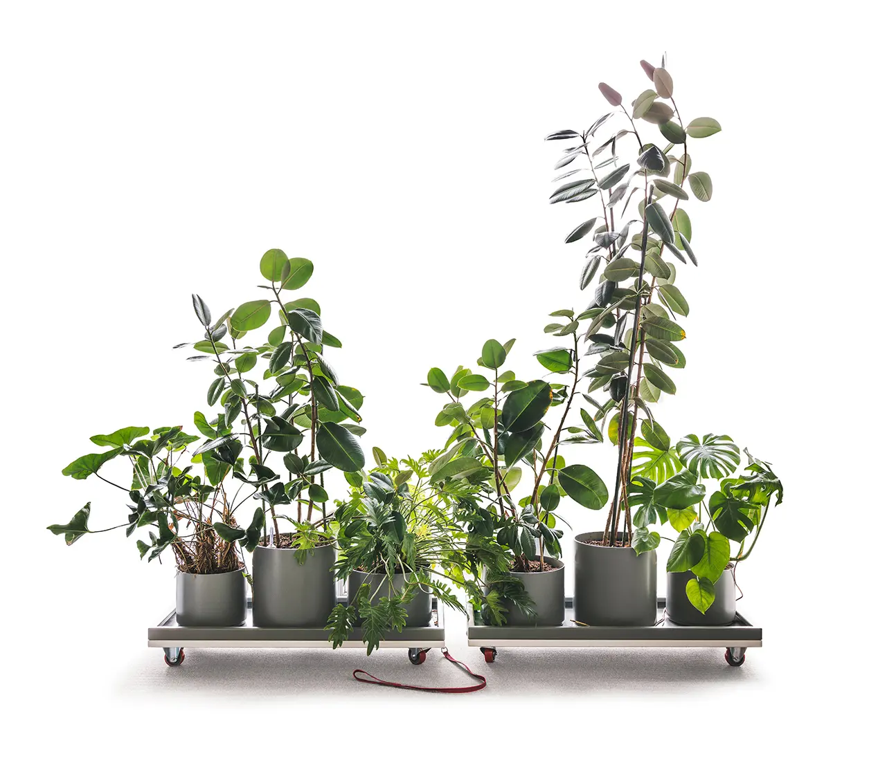 UnternehmenForm - Planting Cart