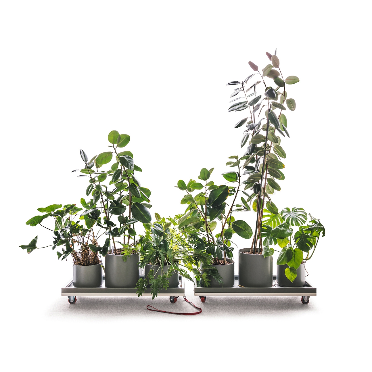 Mostra il prodotto Planting Cart del produttore UnternehmenForm
