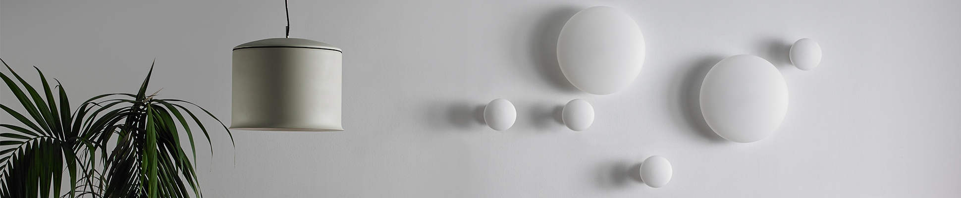 Discover the world of manufacturer FOC