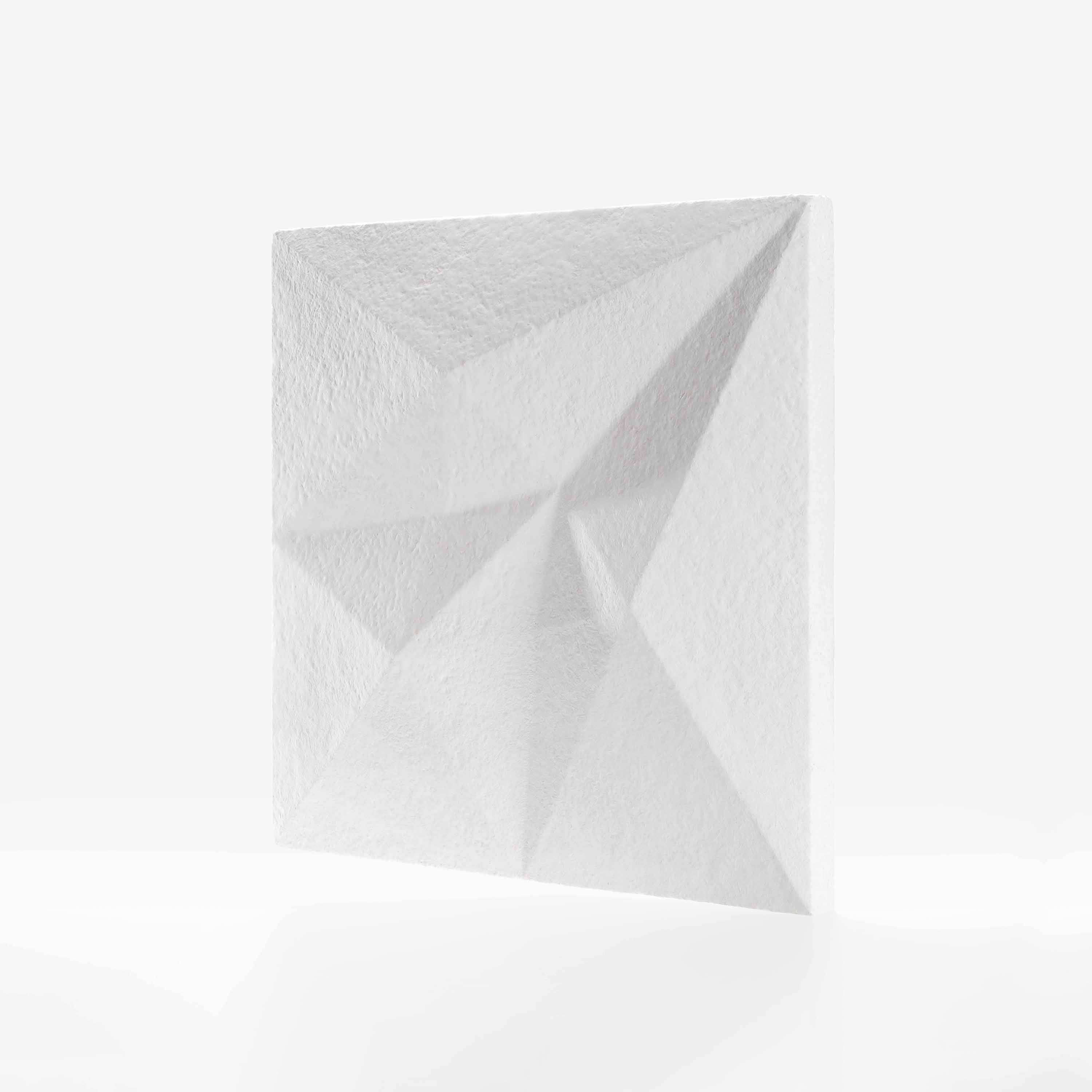 Kite