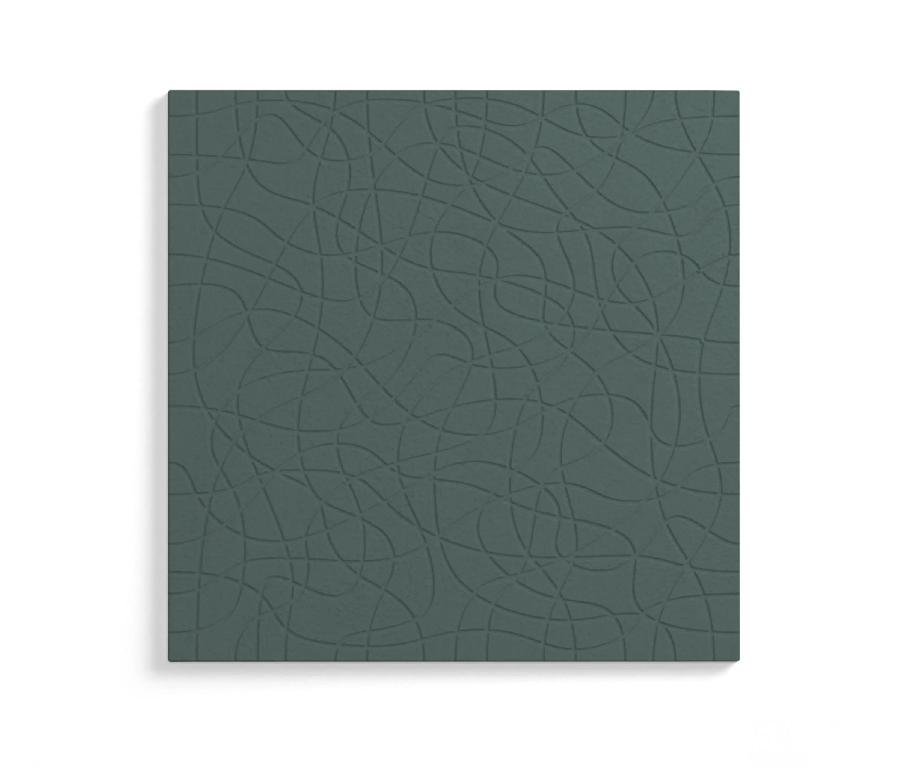 Mogu - Pluma Mycelium