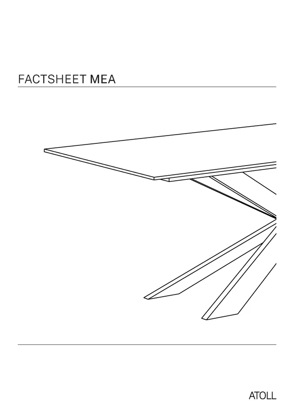 Vorschaubild für die Datei FACTSHEET MEA