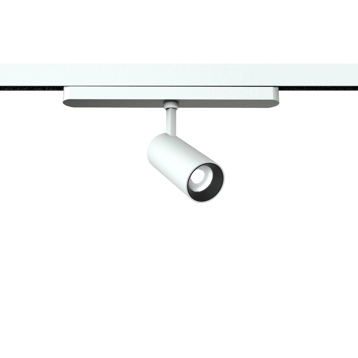 Mostra il prodotto Eidos Track 220V Ø45 L=105 Dali del produttore Castaldi