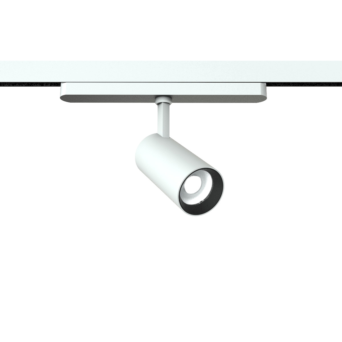 Mostra il prodotto Eidos Track 220V Ø55 L=125 Dali del produttore Castaldi