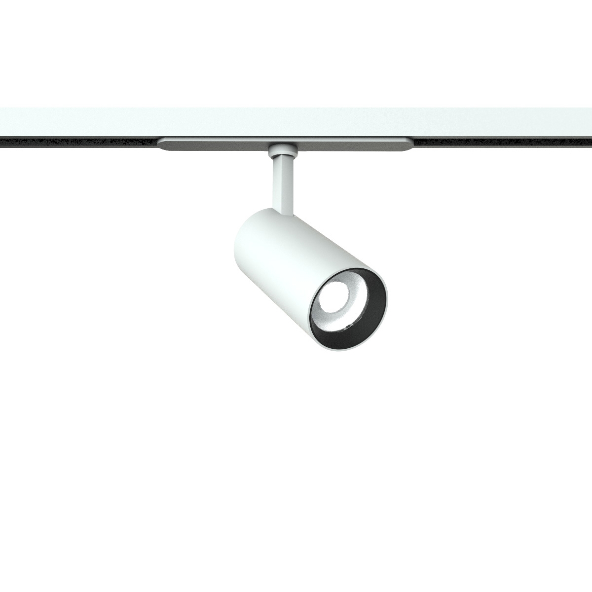 Mostra il prodotto Eidos Track 48V Ø55 Dali del produttore Castaldi