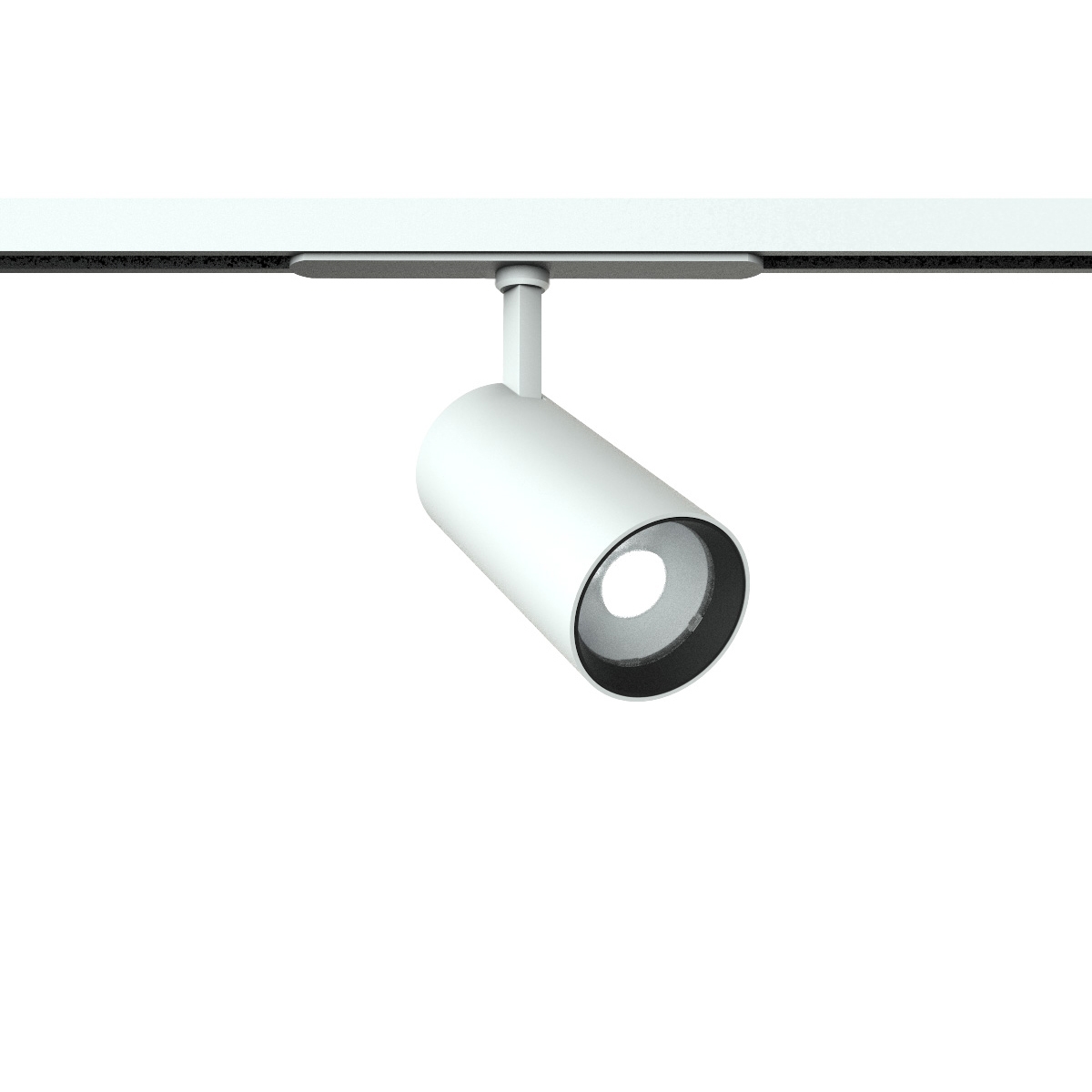 Mostra il prodotto Eidos Track 48V Ø65 On-Off del produttore Castaldi