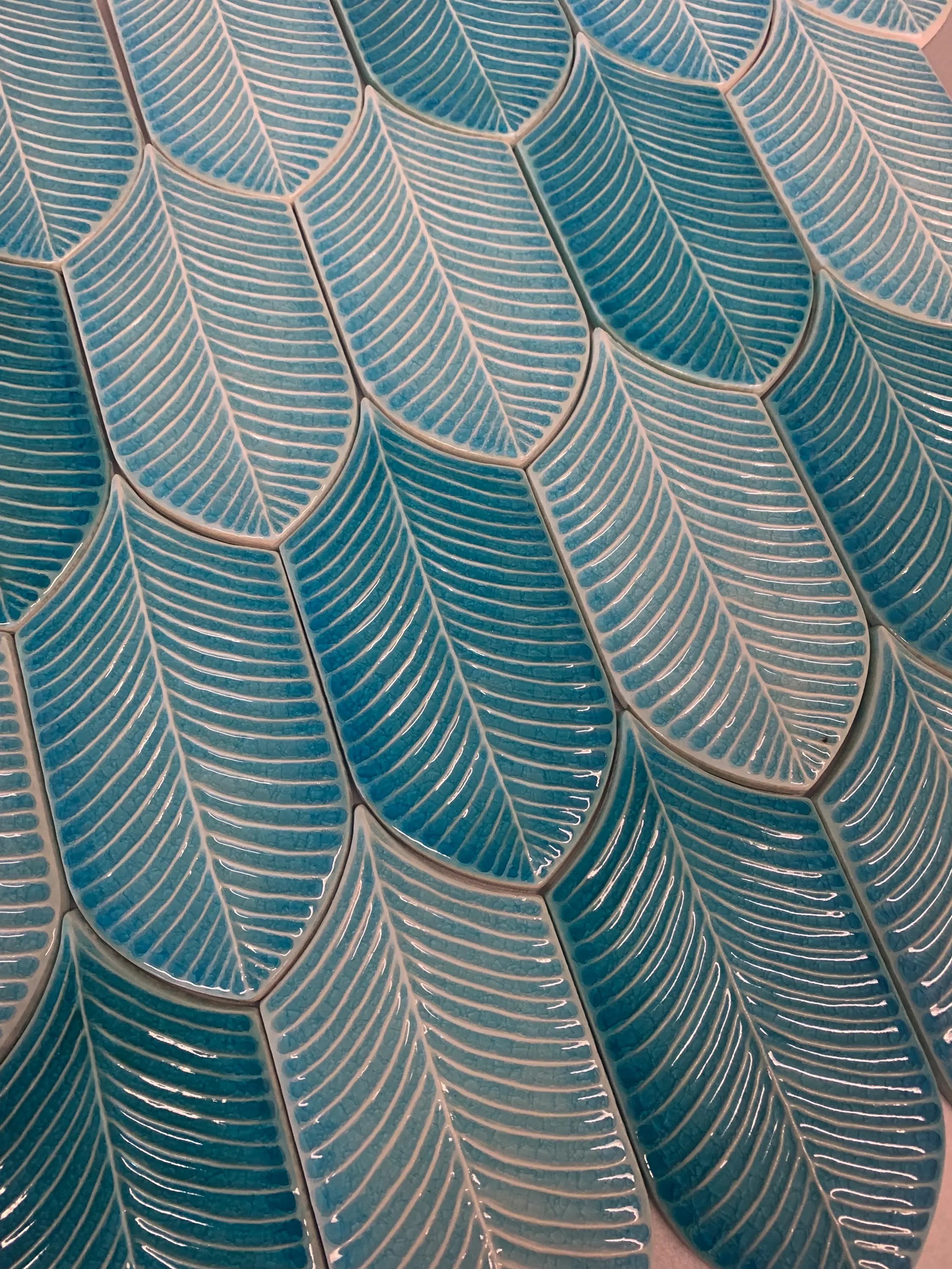 Acquario Due - Calathea Lucida A32 Blu Elettrico