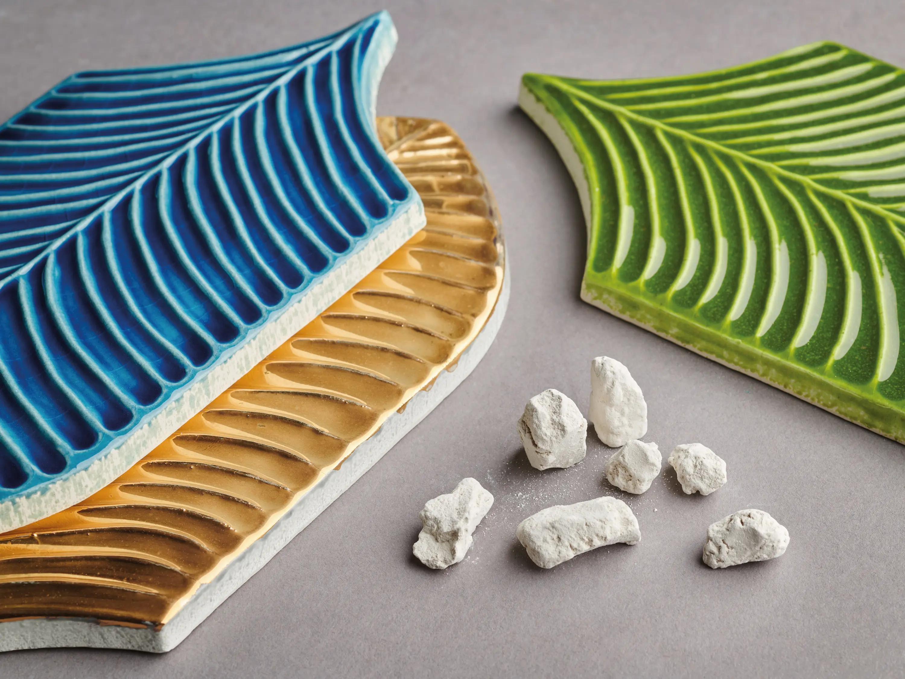 Acquario Due - Calathea Lucida A32 Blu Elettrico