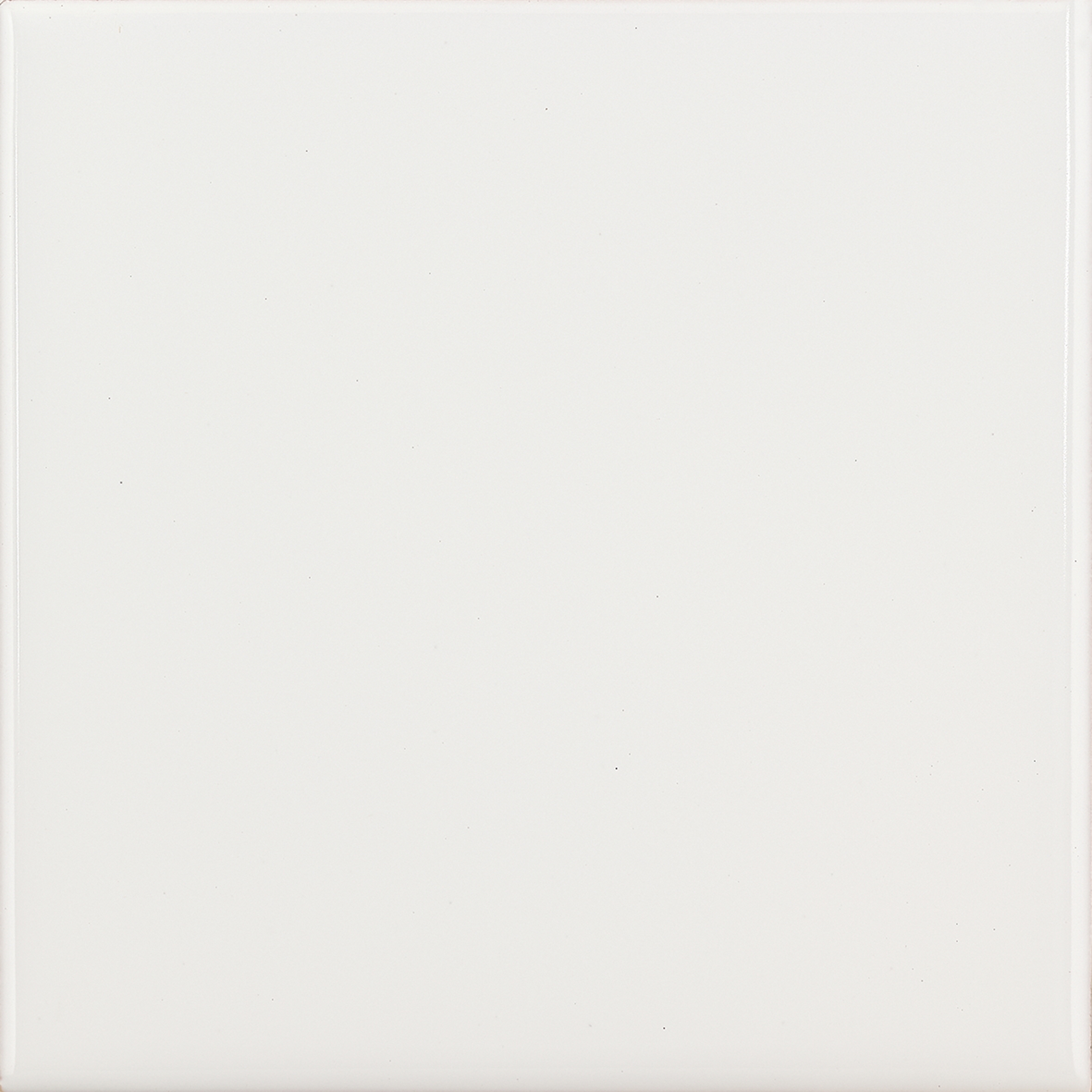 Produkt 10x10 Lucida A10 Bianco des Herstellers Acquario Due anzeigen