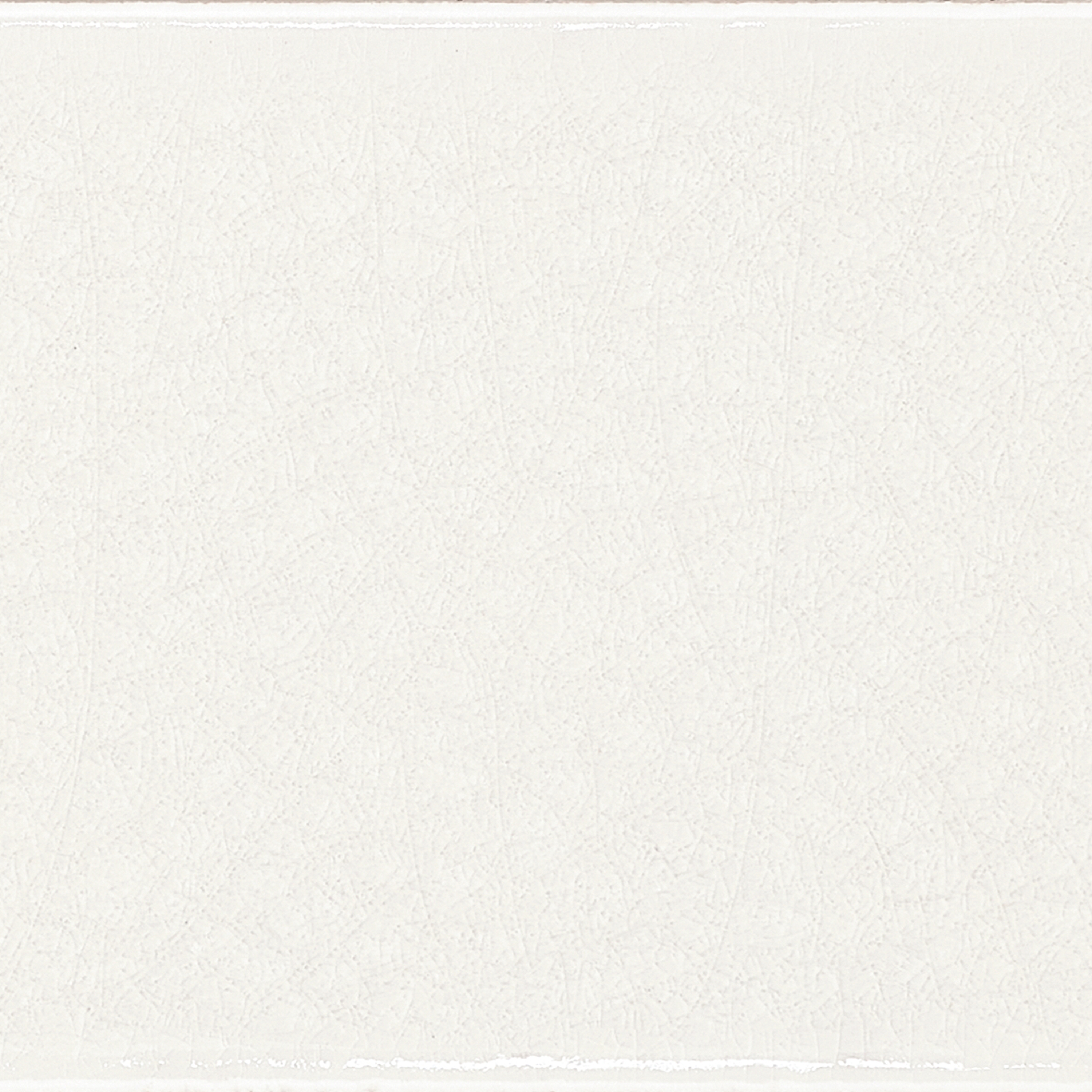 10x60 Vitrum VA905 Bianco