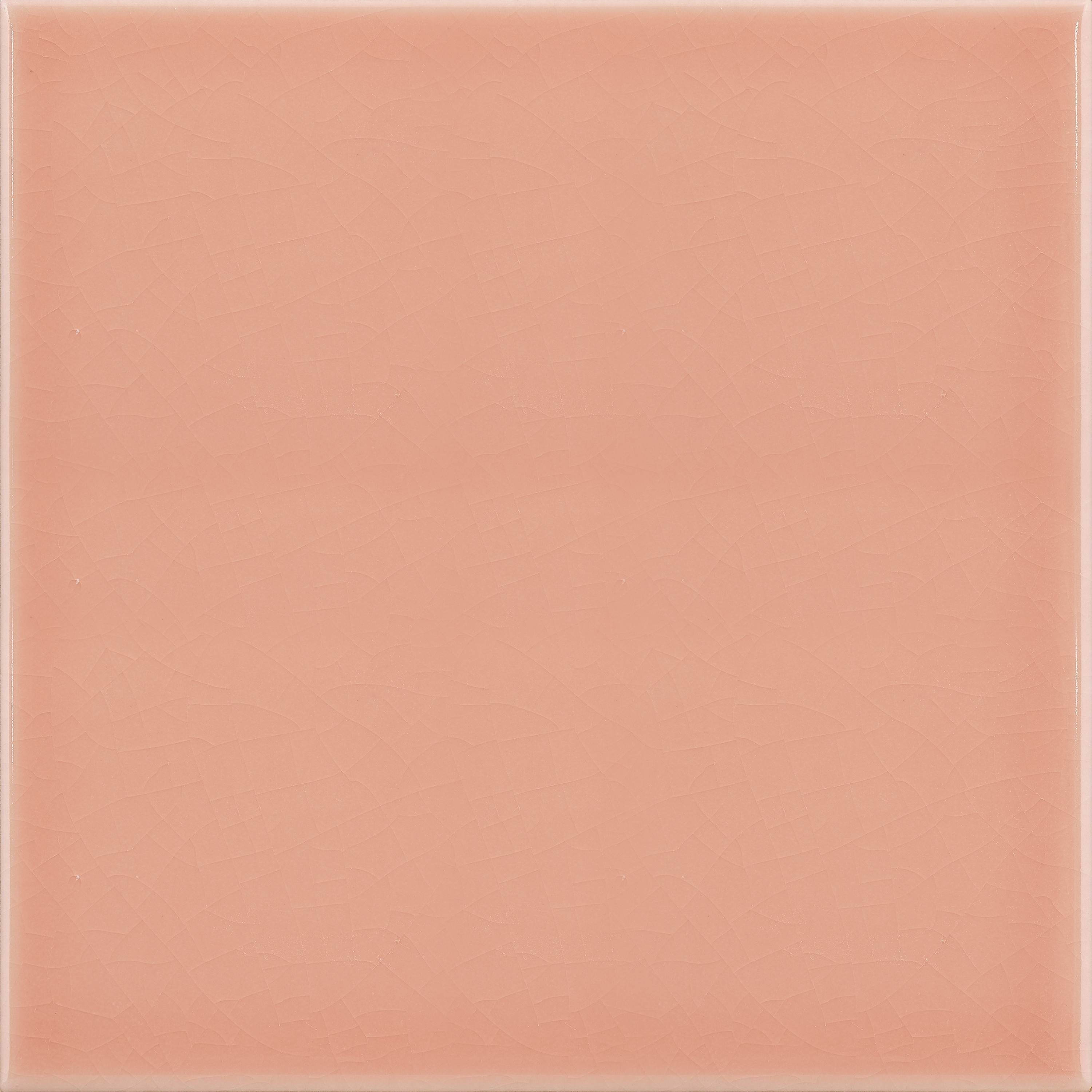 20x20 Lucida A36 Rosa Pesco