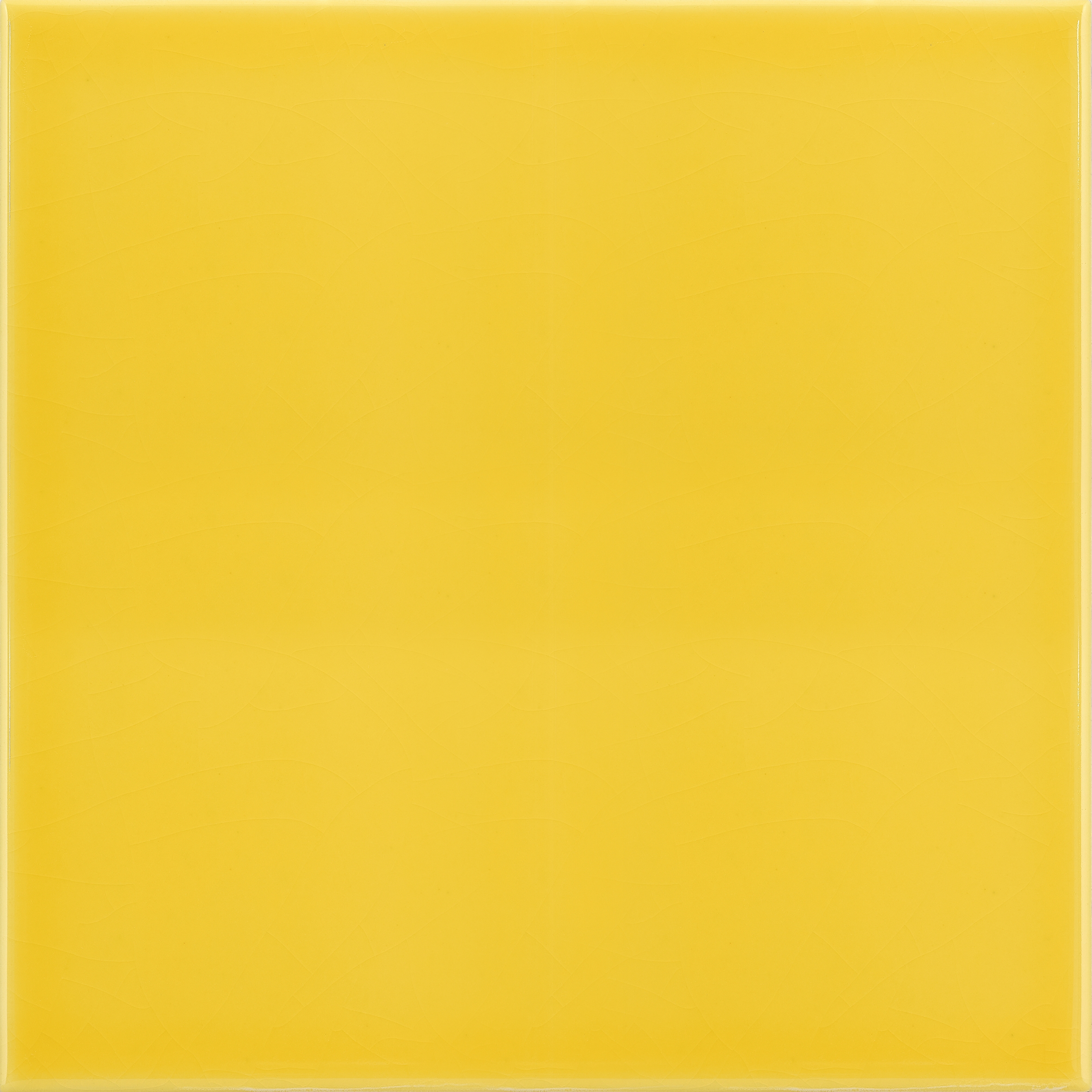 20x20 Lucida A45 Giallo Oro