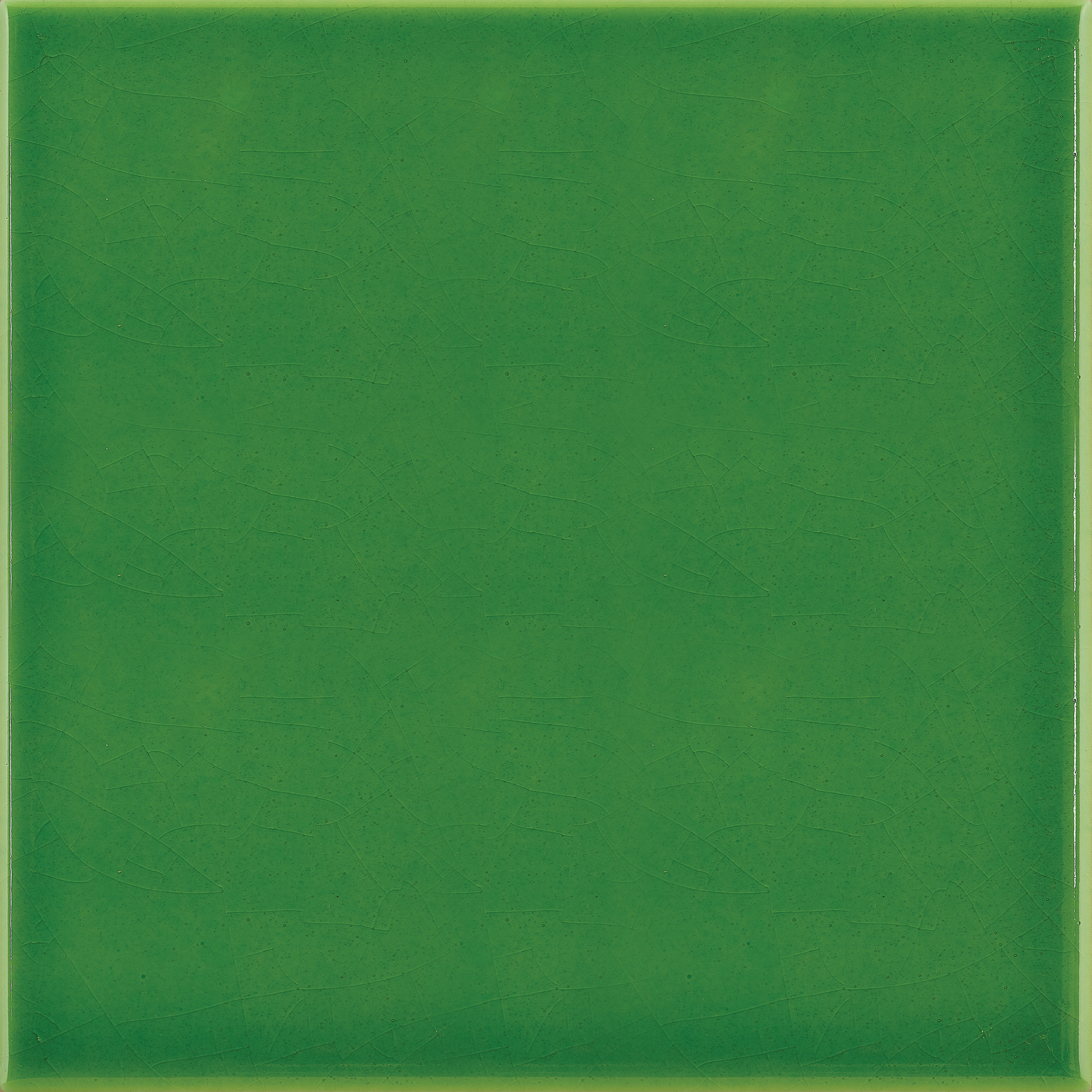 20x20 Lucida A50 Verde Prato