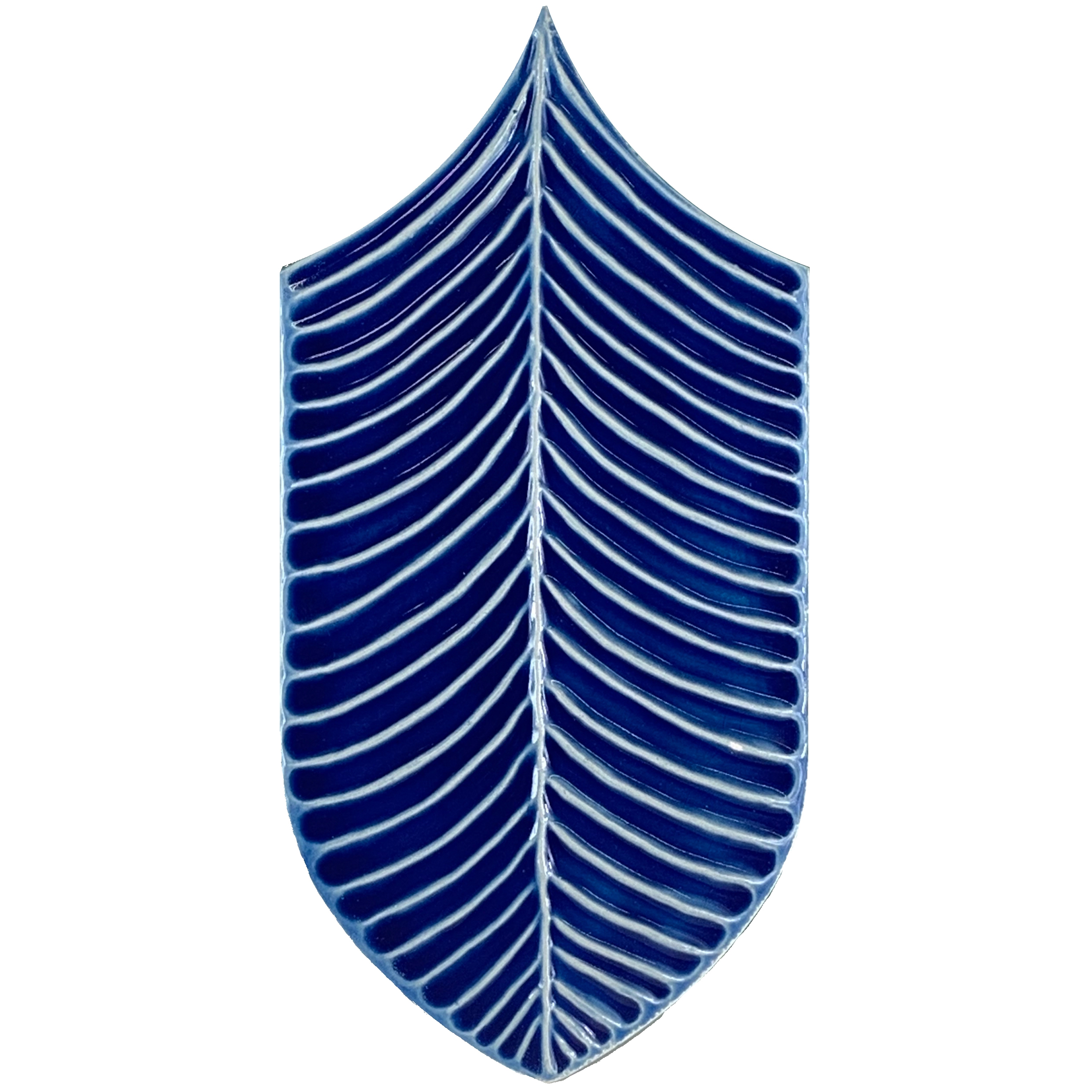Produkt Calathea Lucida A32 Blu Elettrico des Herstellers Acquario Due anzeigen