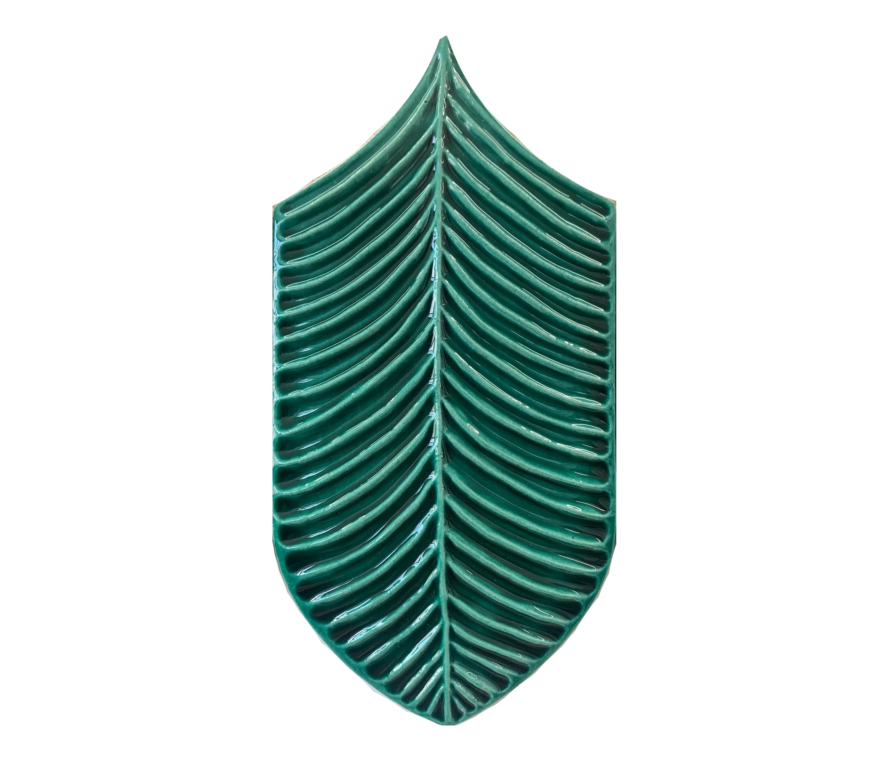 Acquario Due - Calathea Lucida A52 Verde Inglese