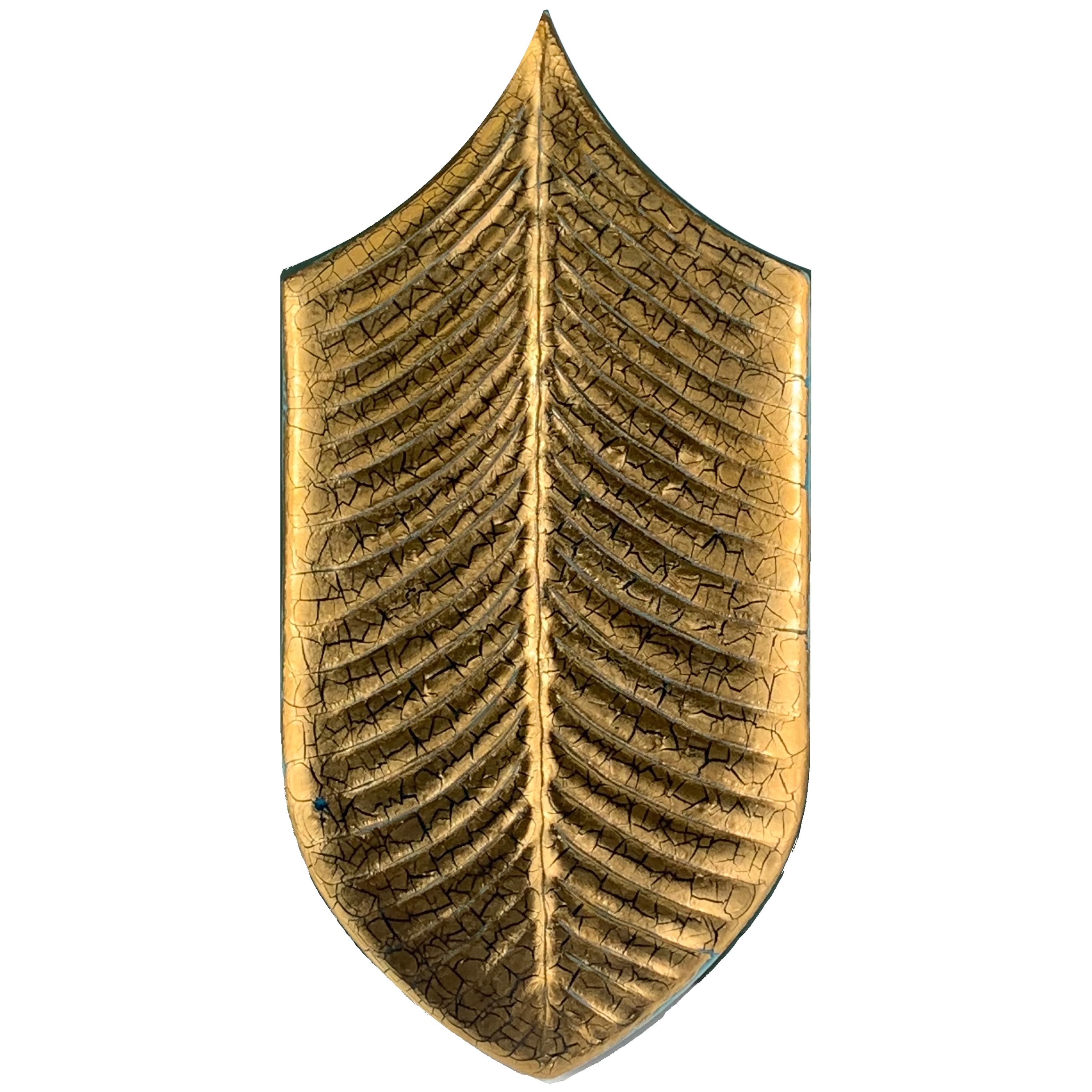 Afficher le produit Calathea Oro Craquelè du fabricant Acquario Due