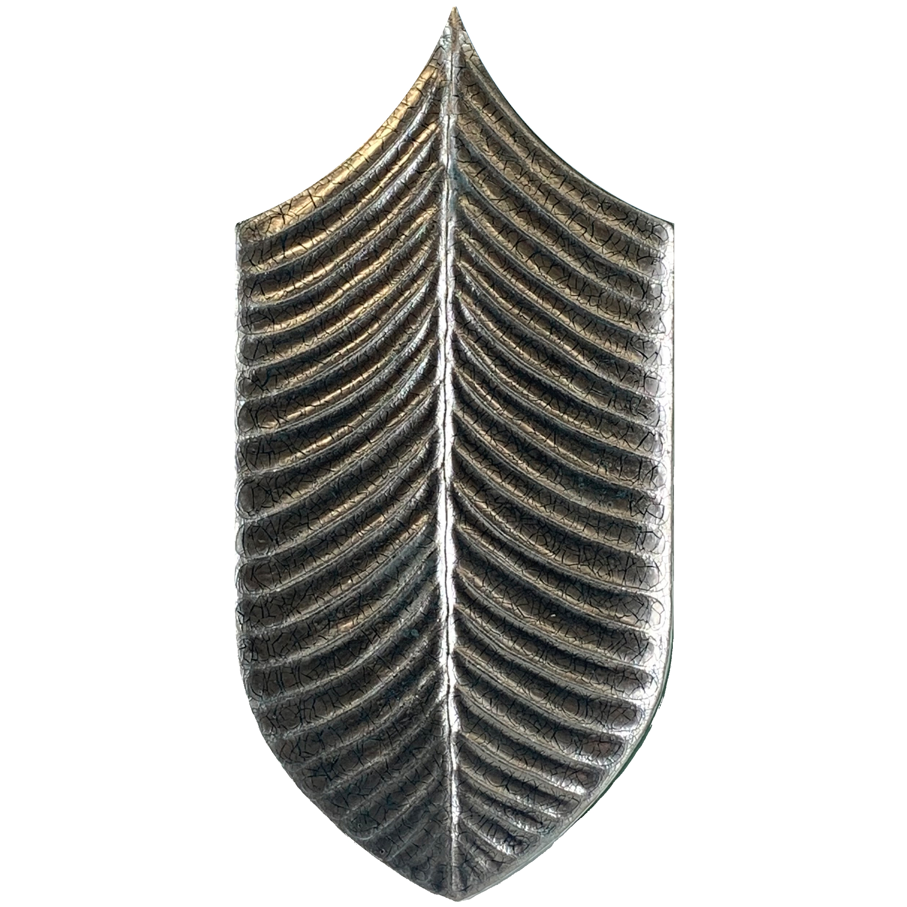 Calathea Platino Craquel