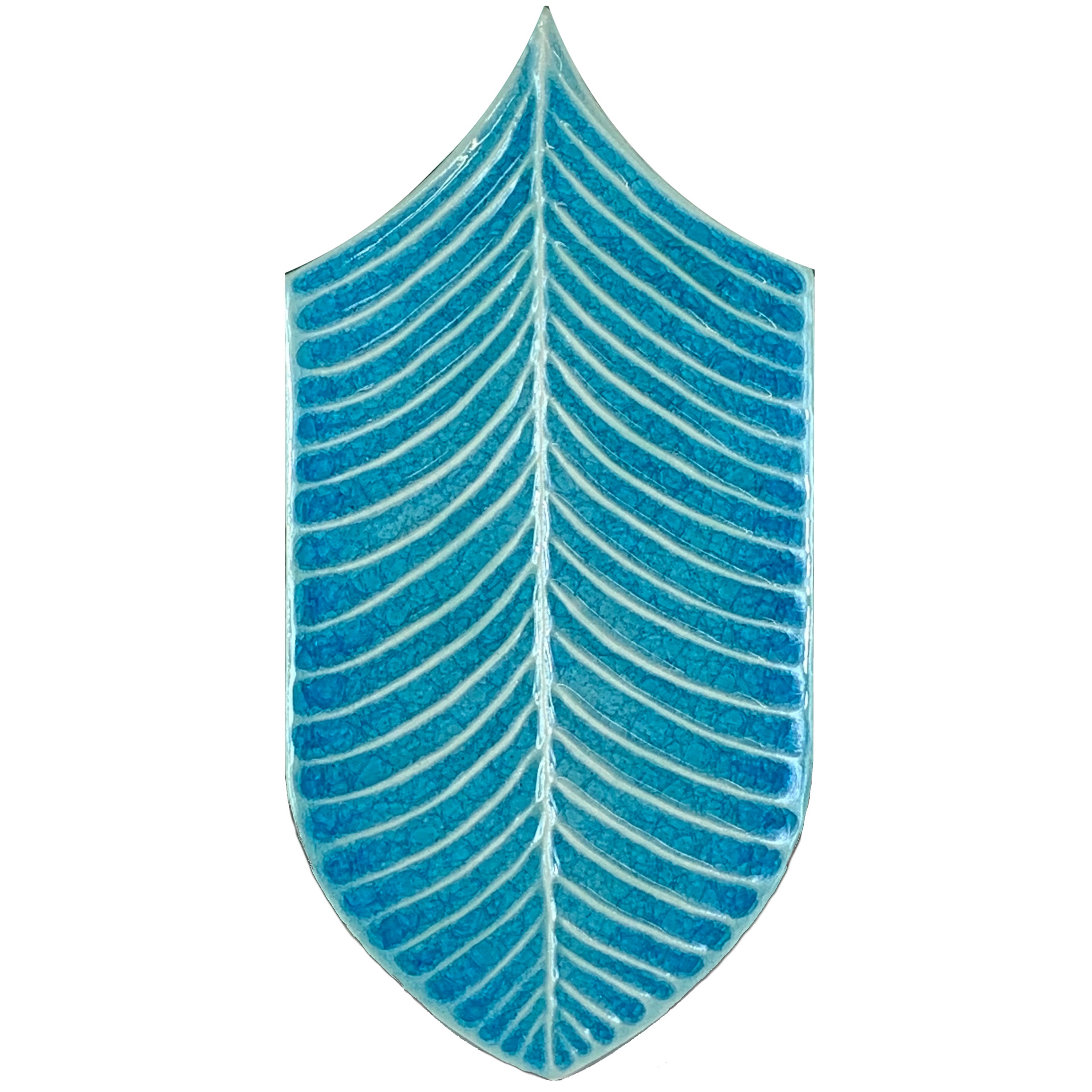 Mostra il prodotto Calathea Vitrum VA910 Celeste del produttore Acquario Due