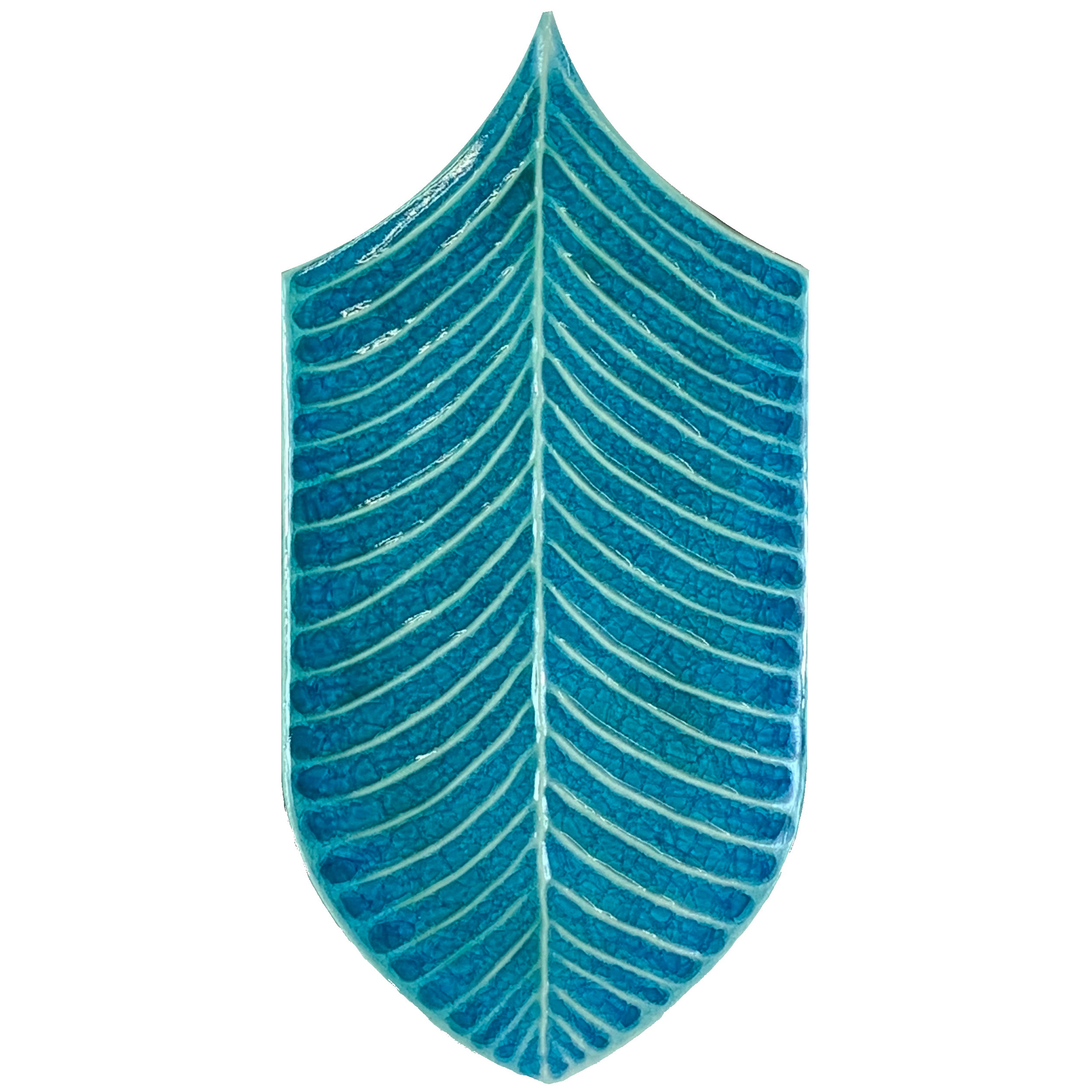 Calathea Vitrum VA913 Azzurro
