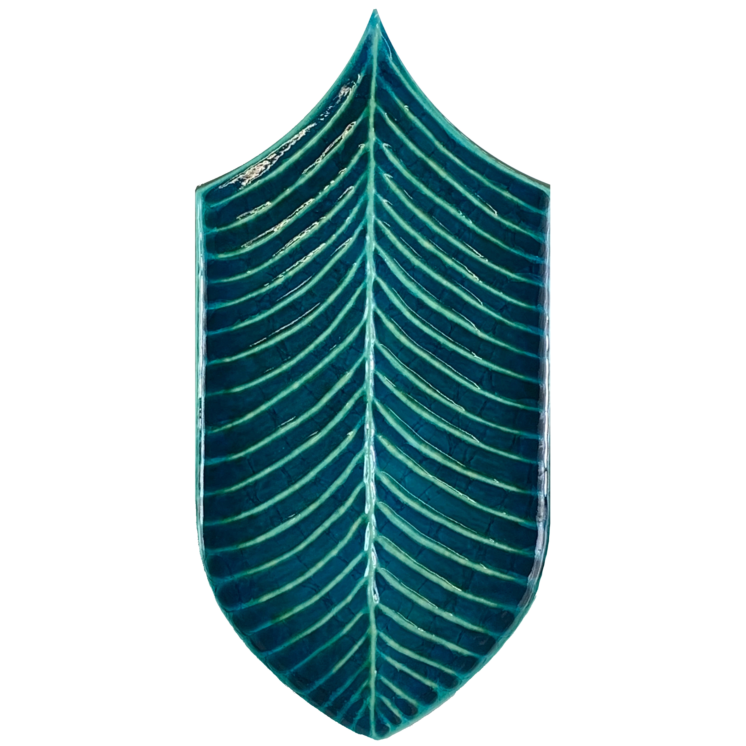 Calathea Vitrum VA916 Oceano