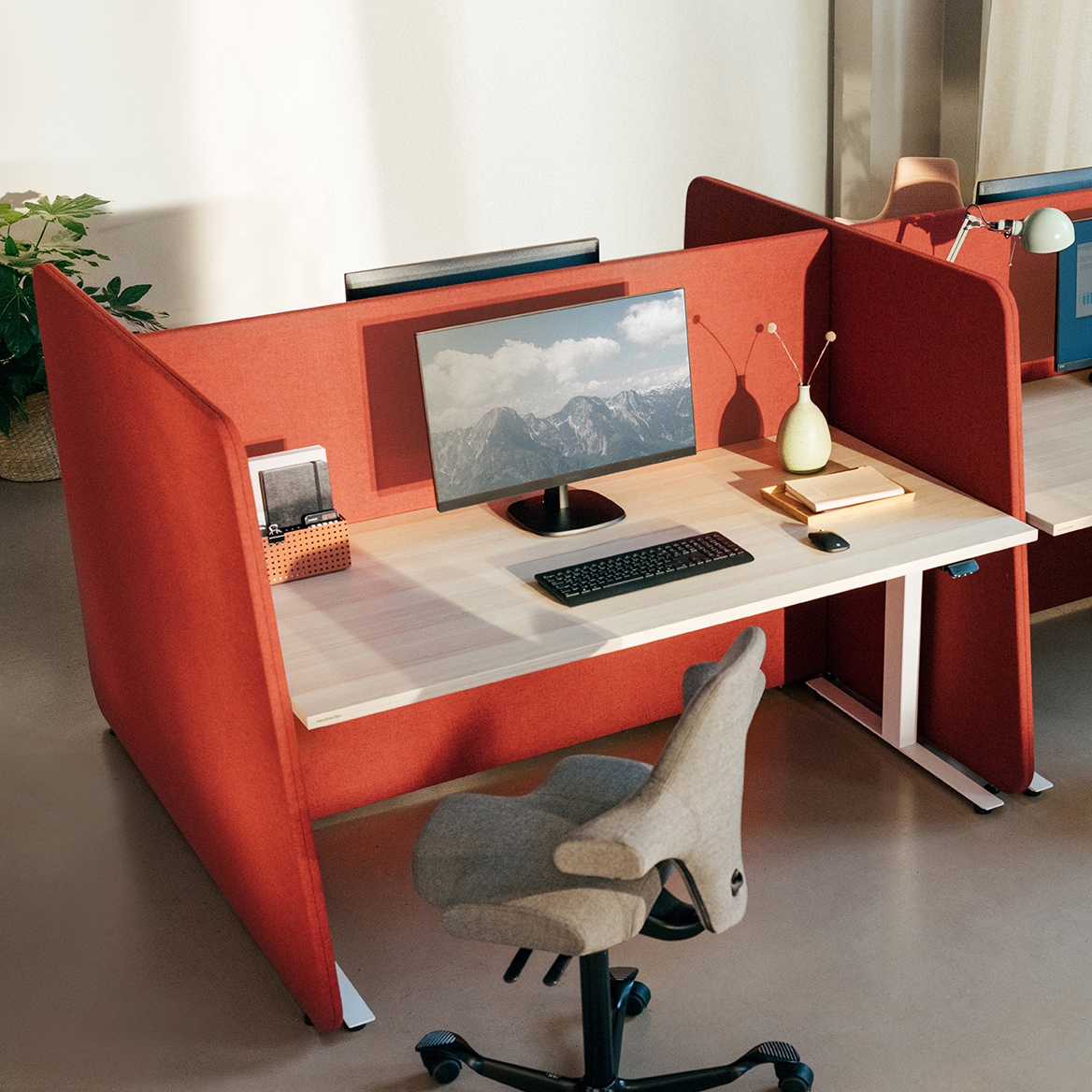 Produkt Noova Privacy Wall des Herstellers Neudoerfler anzeigen