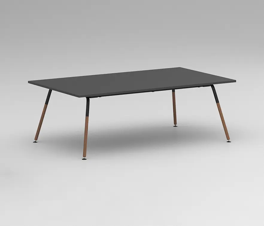 Neudoerfler - MyMotion Discussion Table