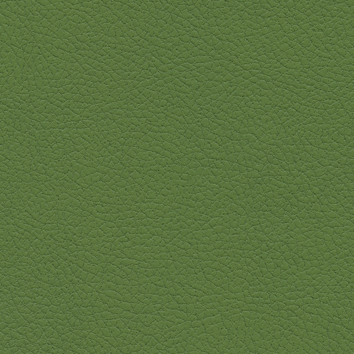 Brisa | Apple Green
