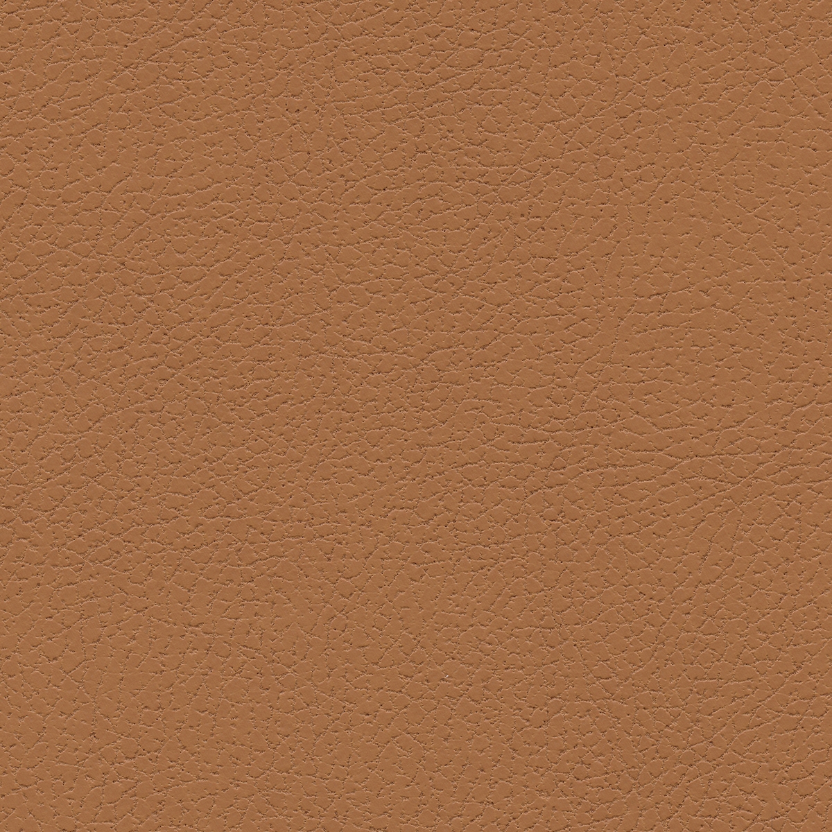 Brisa | Aztec
