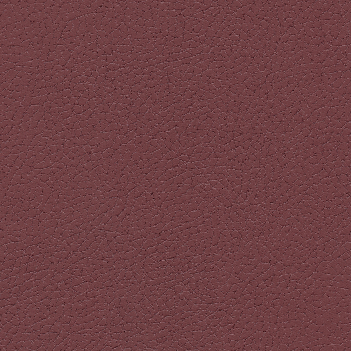 Brisa | Beet Root