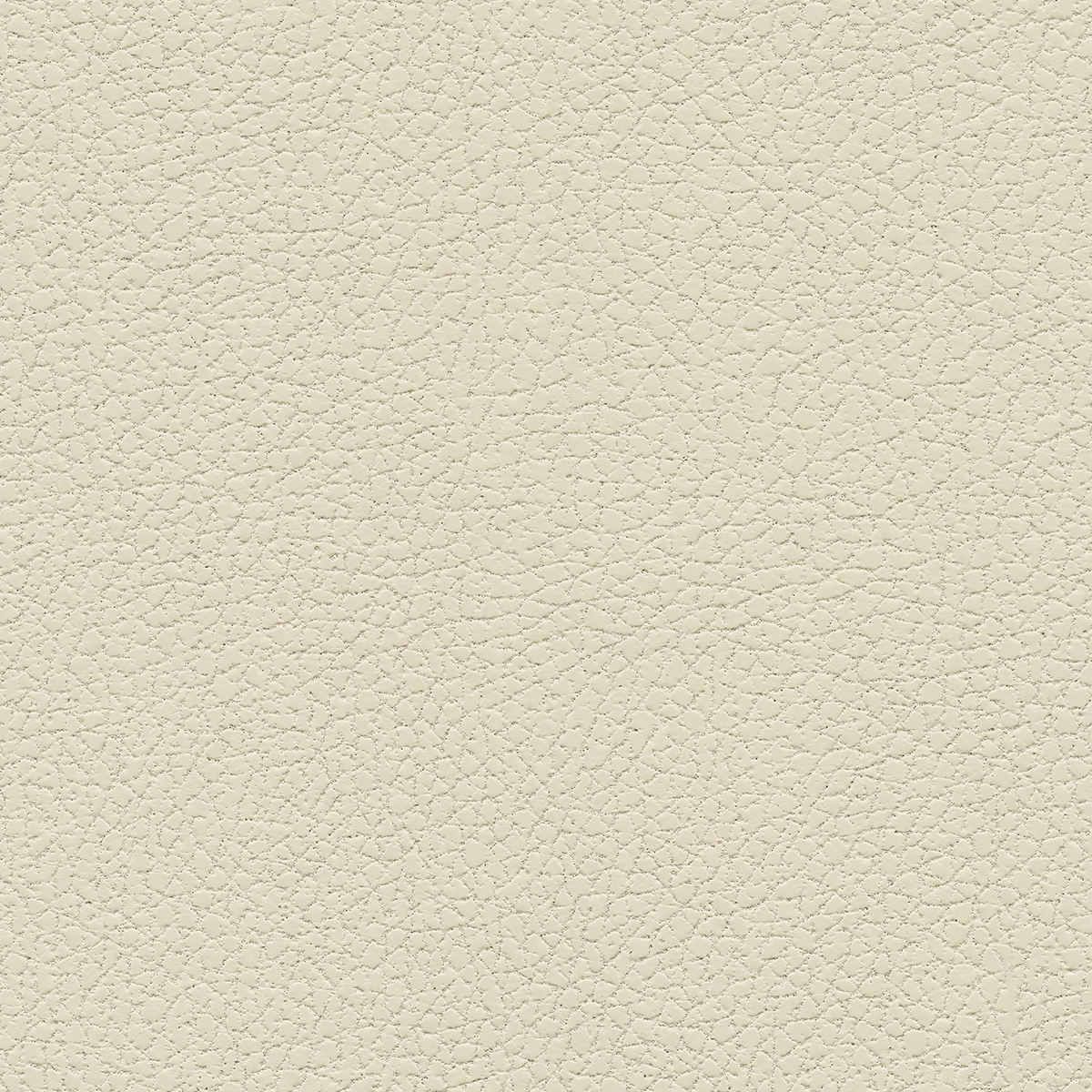Brisa | Birch