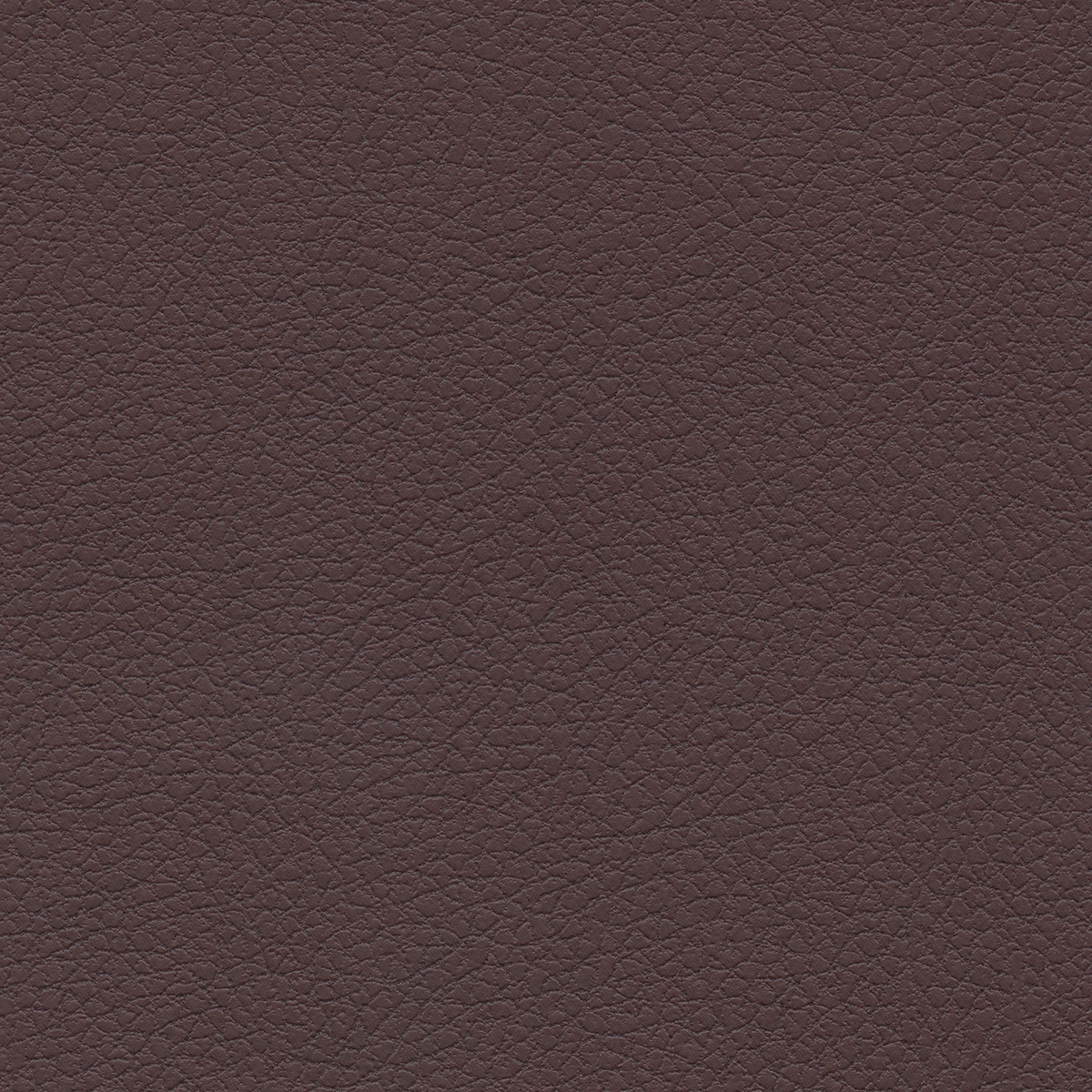 Brisa | Cabernet