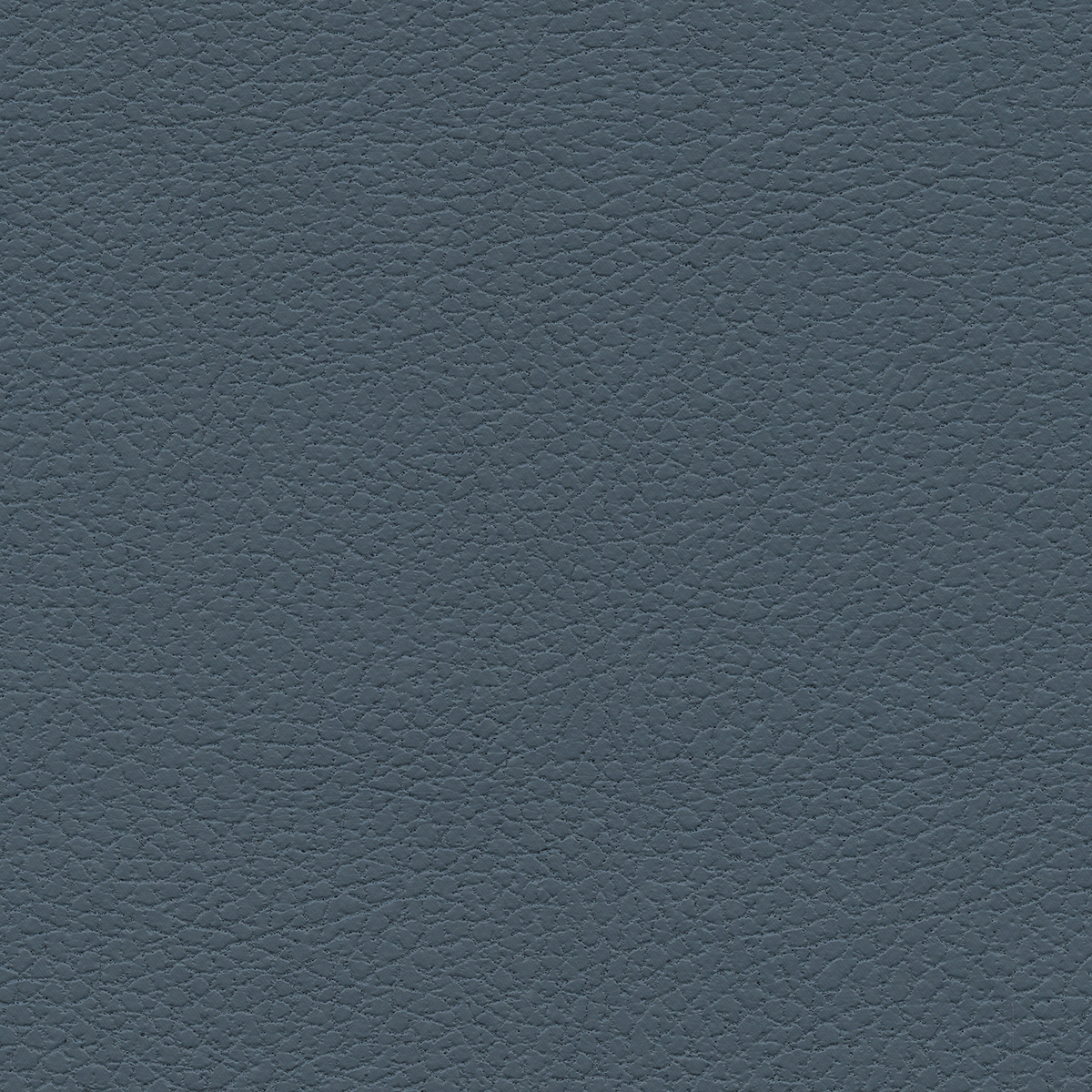 Brisa | Cambridge Blue