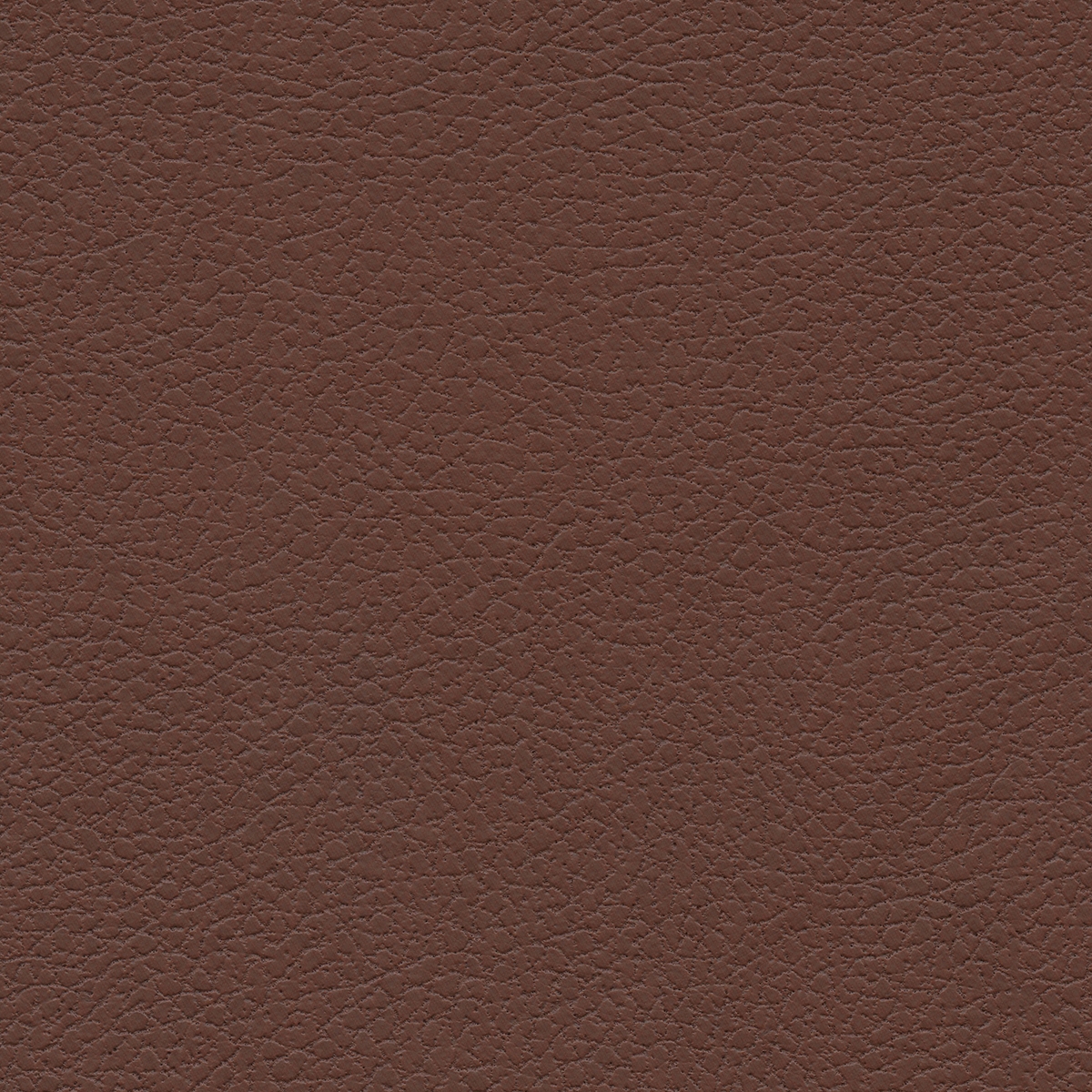 Brisa | Canyon