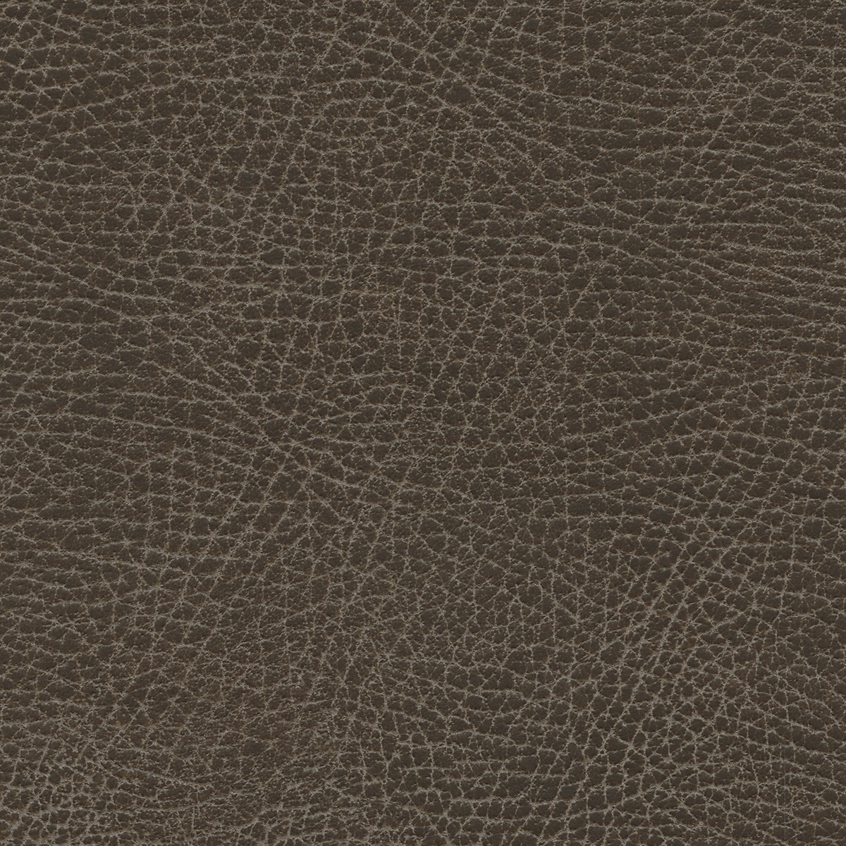 Brisa Distressed | Bison