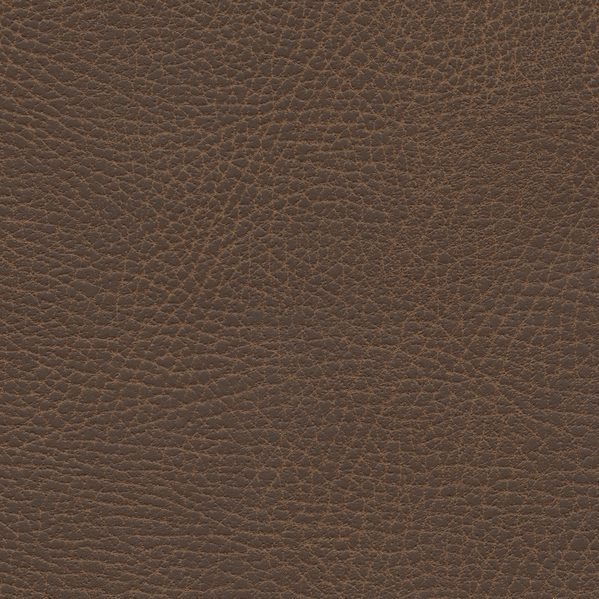 Brisa Distressed | Bridle