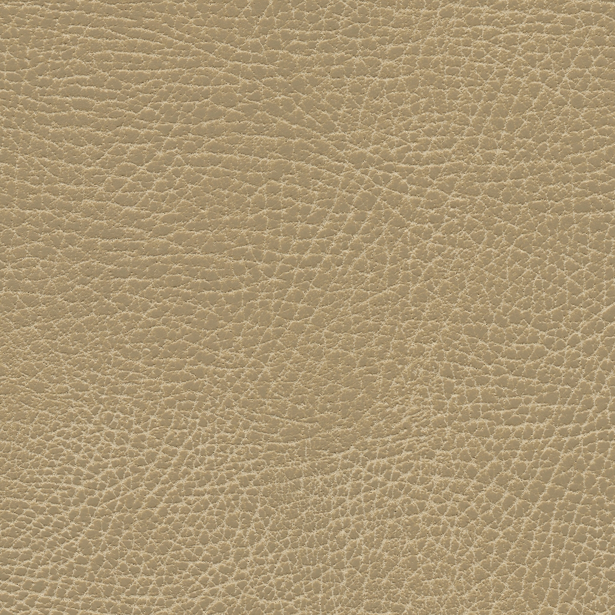 Brisa Distressed | Buckskin