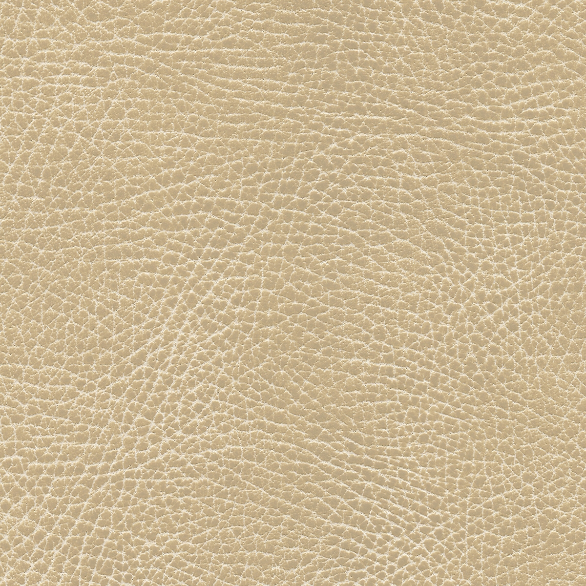 Brisa Distressed | Chamois
