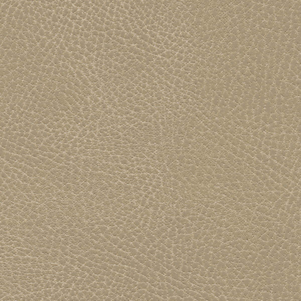 Brisa Distressed | Desert Tan