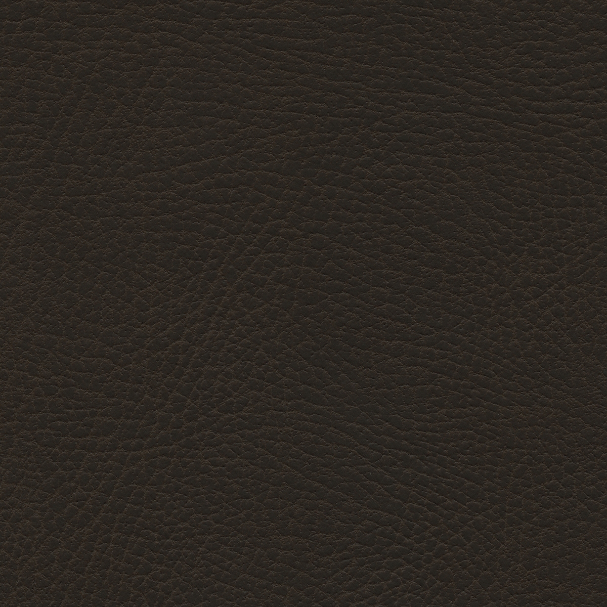 Brisa Distressed | French Roast