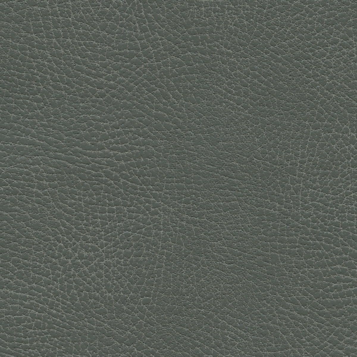 Brisa Distressed | Iron