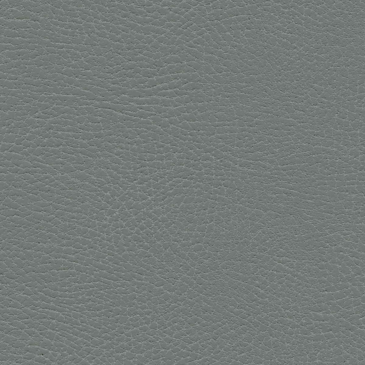 Brisa Distressed | Koala