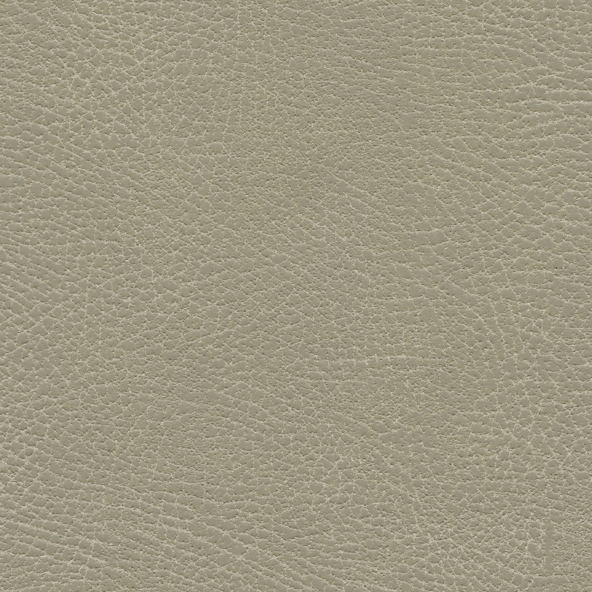 Brisa Distressed | Muslin