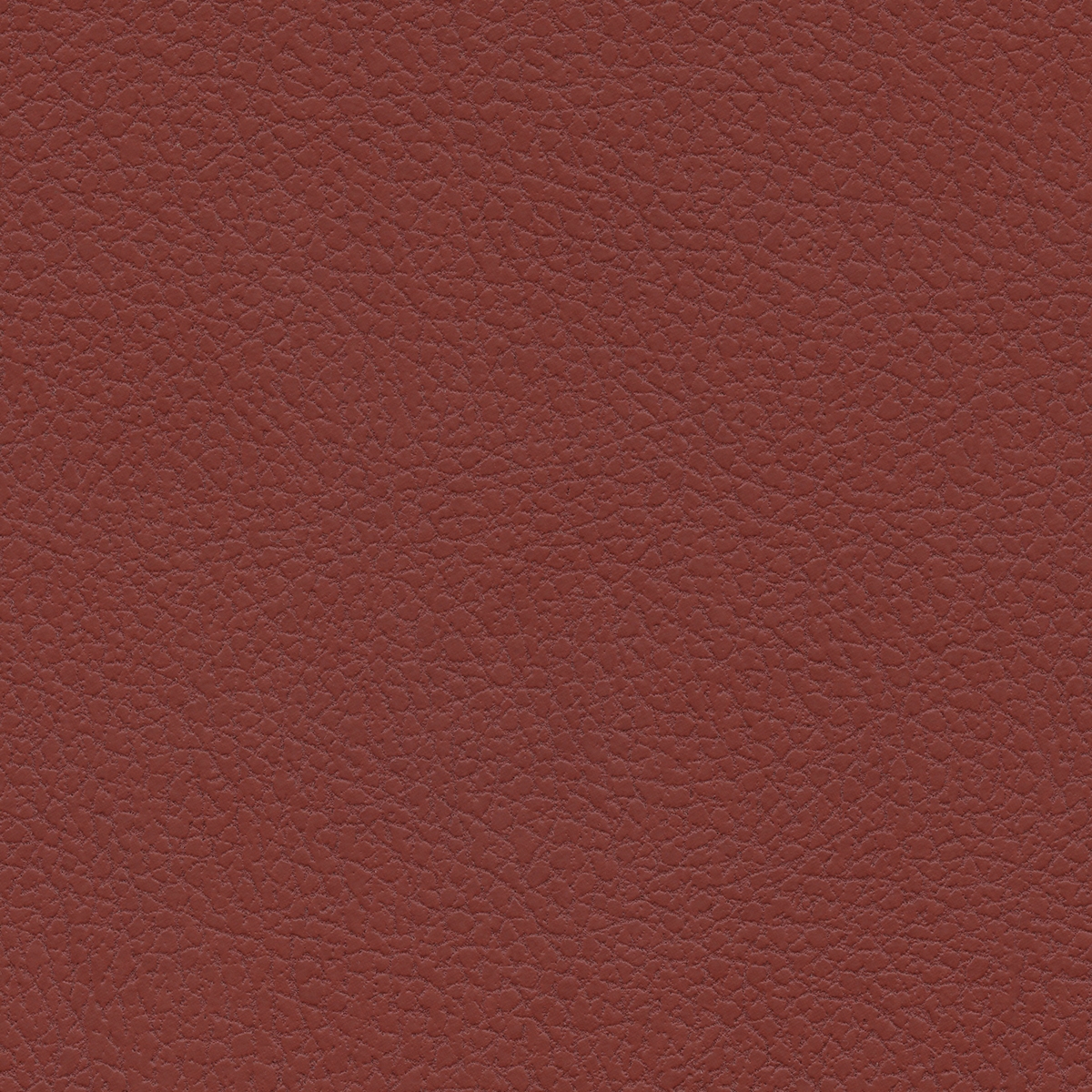 Brisa Forecast | Burnt Red