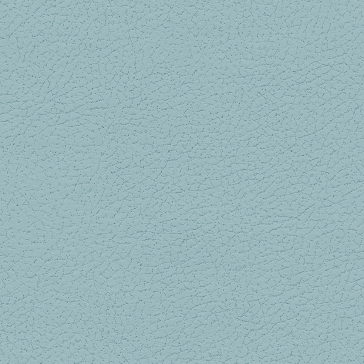 Brisa Forecast | Glass
