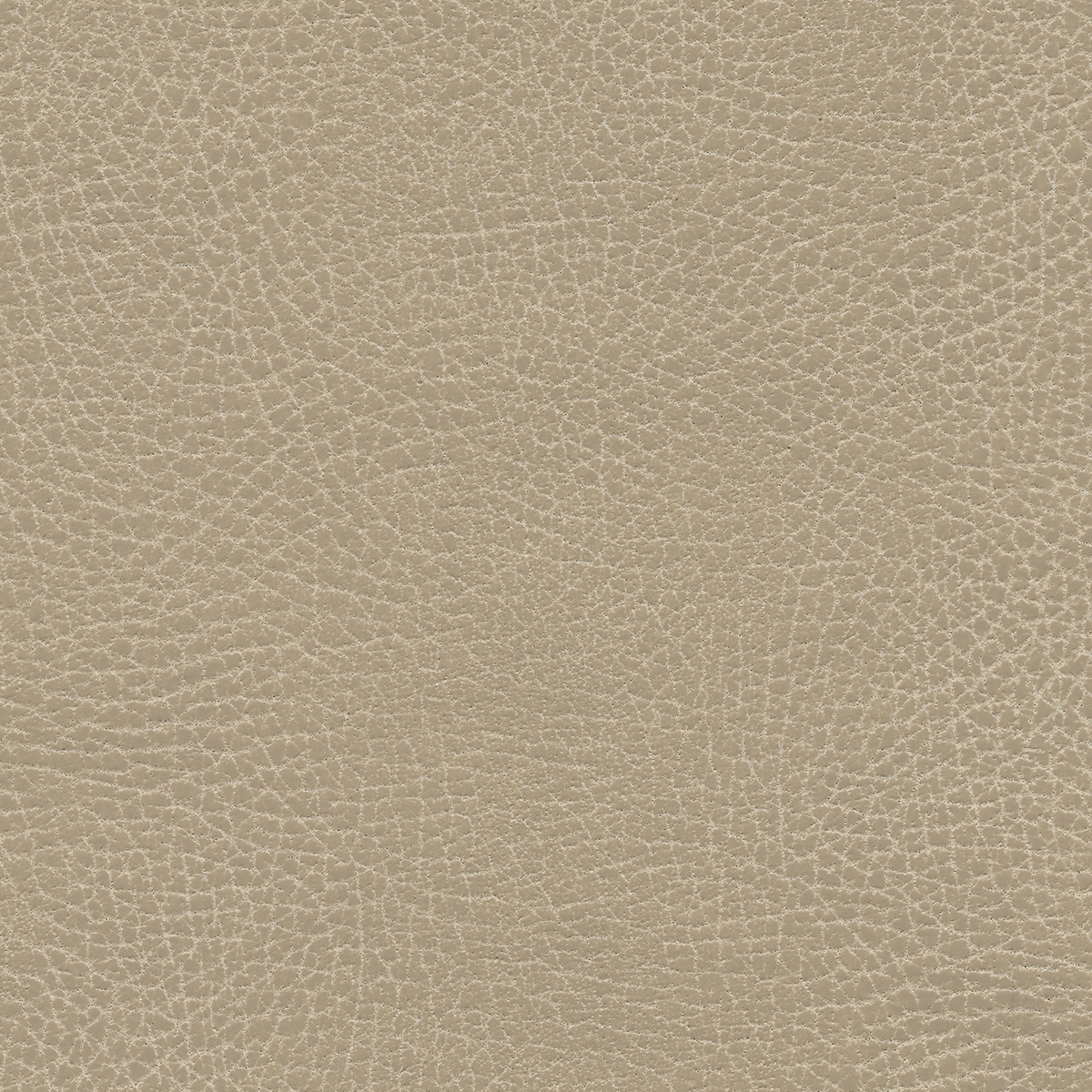 Brisa Frontier | Chamois