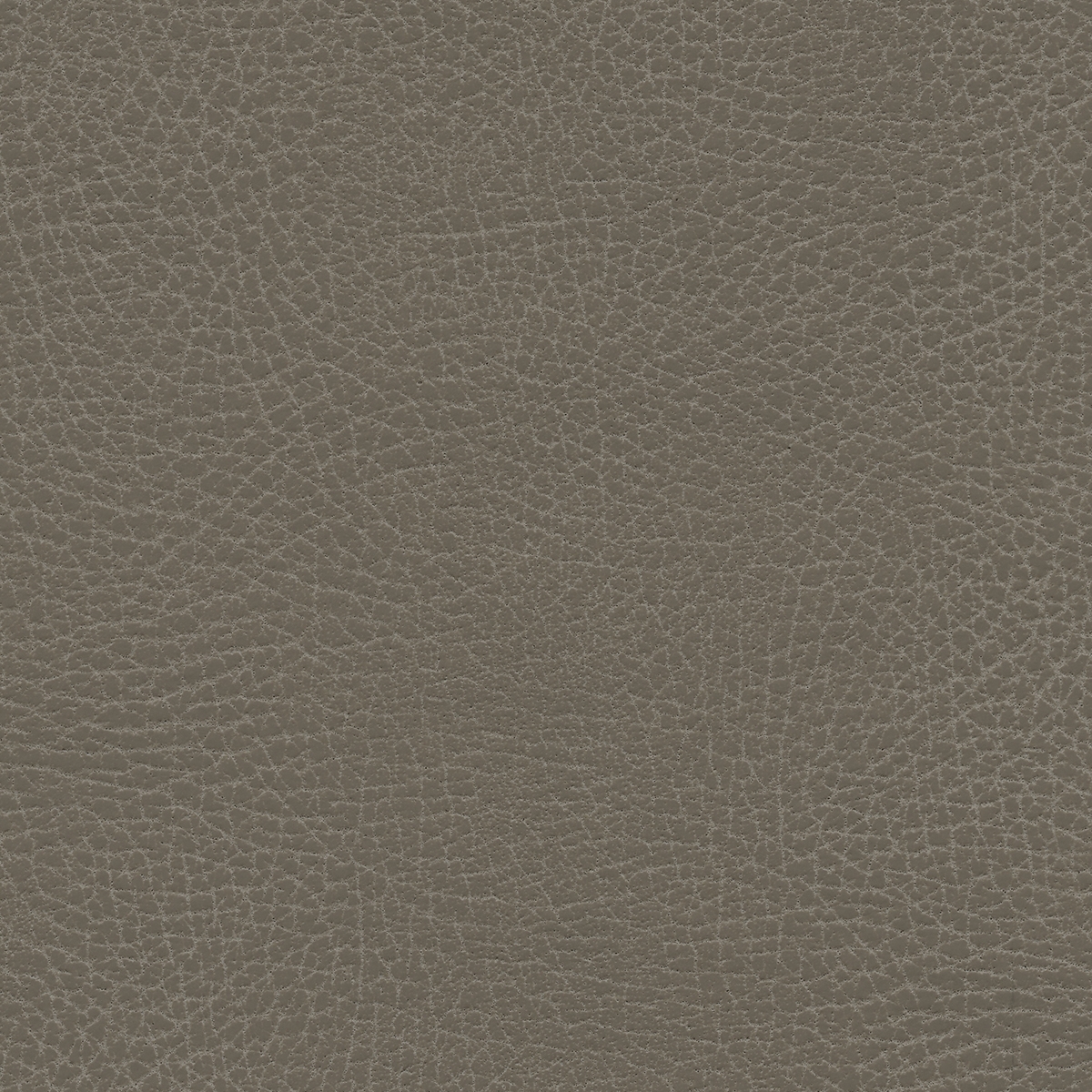 Brisa Frontier | Greige