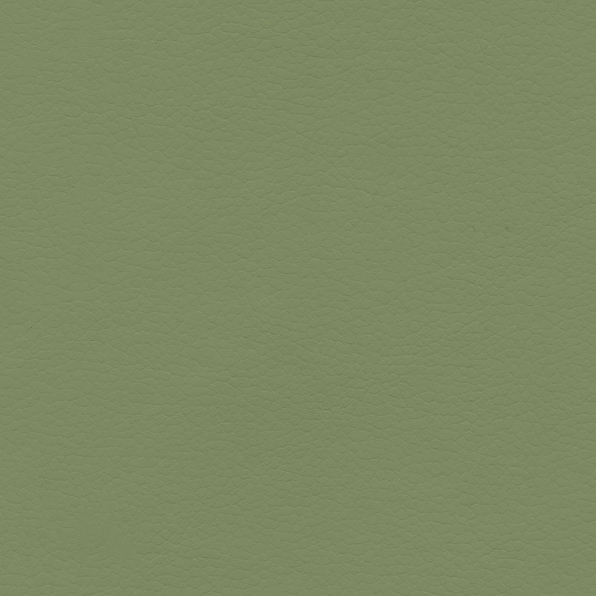 Coast | Stem Green