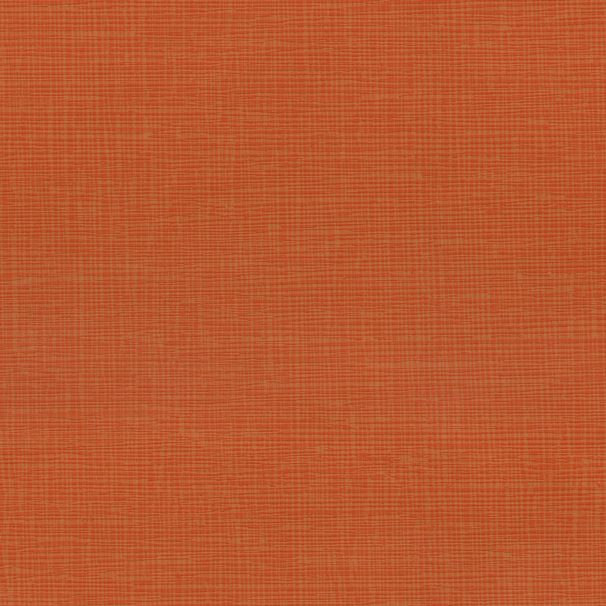 Lino | Carrot