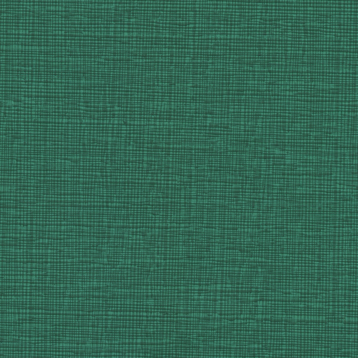 Lino | Pinenut