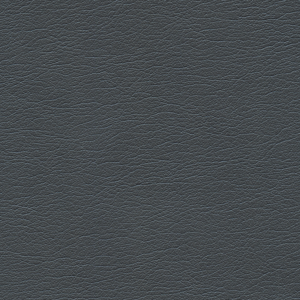 Pearlized | Midnight